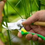 Tijera de podar Jardinería - Verde
