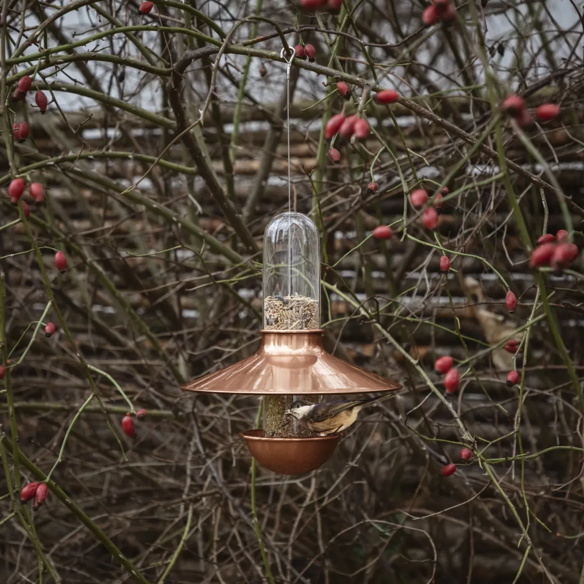 235 Comedero para pájaros De luxe Cobre - Imagen 1