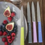 Juego 4 cuchillos de mesa Bon appetit Campagne - Imagen 2