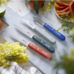 Juego 3 cuchillos pequeños de cocina y pelapapa Les Essentiels