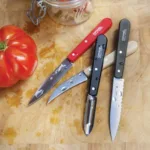 Juego 3 cuchillos pequeños de cocina y pelapapa Les Essentiels