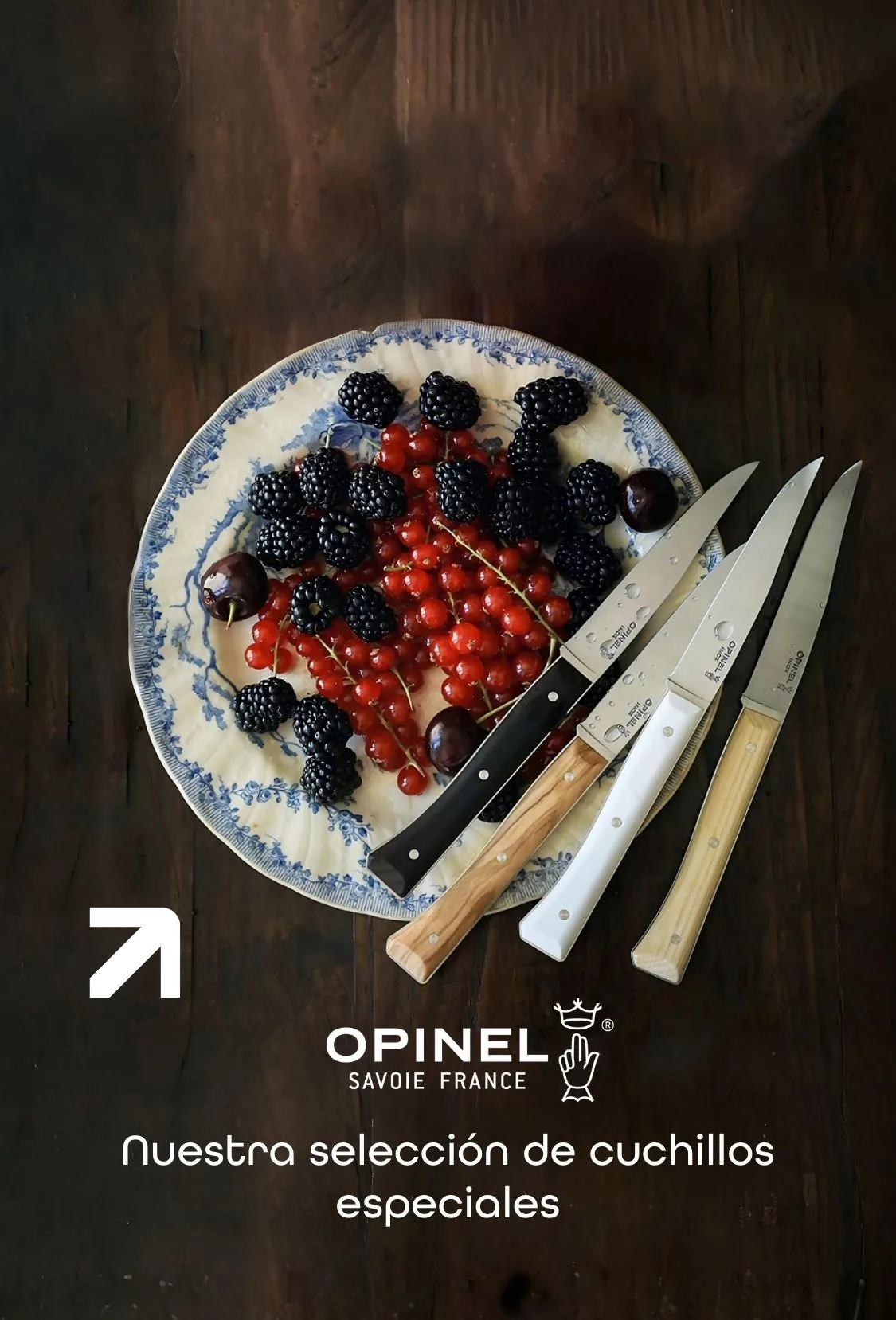 Categoria Opinel Mobile