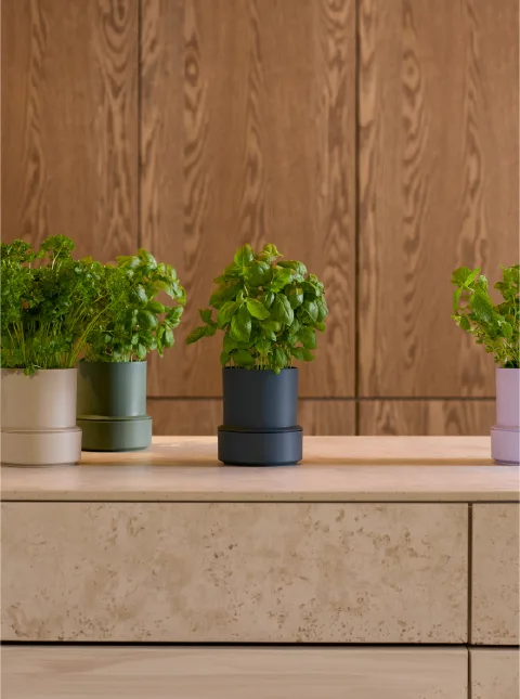 Imagenes Mosaico de Categorias