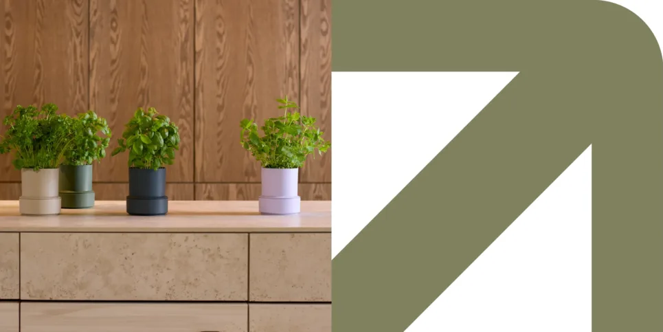 casabutik bg banner mobile 01 1@2x 100