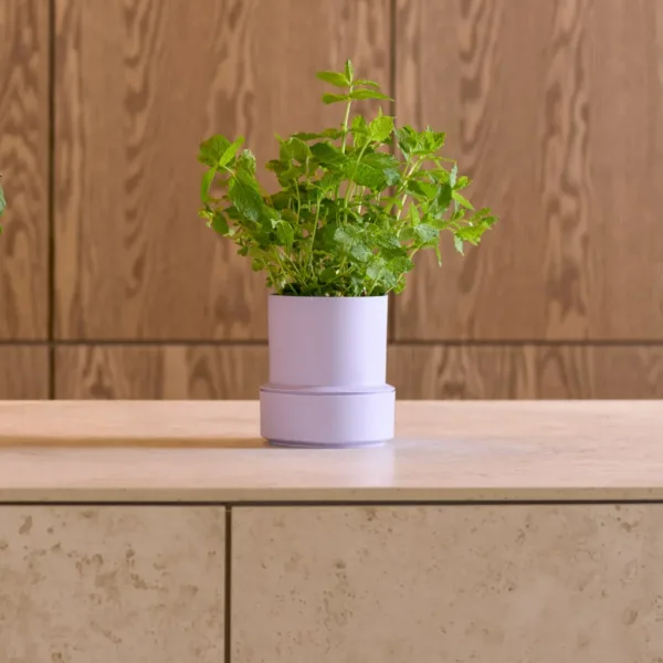 Maceta Con Autorriego Billund