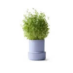 Maceta Con Autorriego Billund - Imagen 2