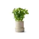 Maceta Con Autorriego Billund - Imagen 2