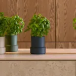 Maceta Con Autorriego Billund