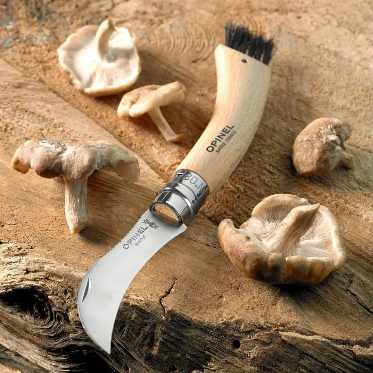 cuchillo-plegable-hongos-acero-opinel-opa1552b809-03 Cuchillo para hongos Nº 8 acero inoxidable - Imagen 3