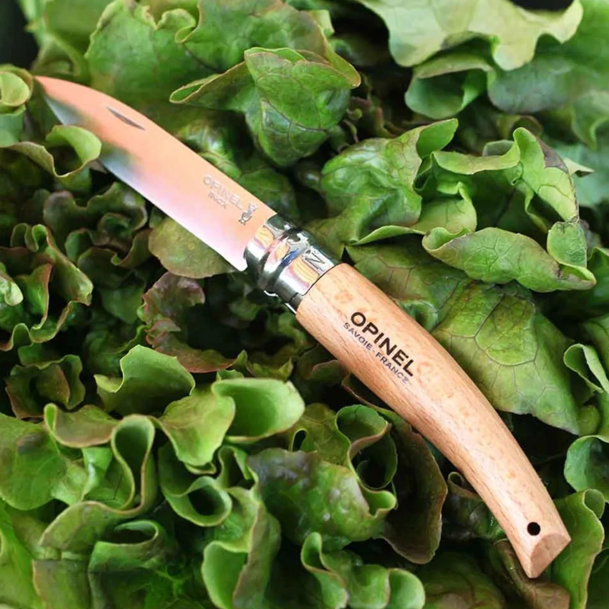 cuchillo-plegable-jardineria-opinel-opa133080b809-02 Cuchillo plegable jardinería Nº8 - Imagen 3