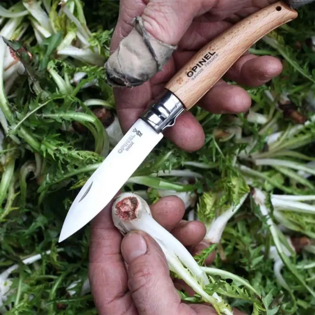 cuchillo-plegable-jardineria-opinel-opa133080b809-03 Cuchillo plegable jardinería Nº8 - Imagen 1