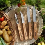 Juego 3 cuchillos pequeños de cocina y pelapapa Les Essentiels