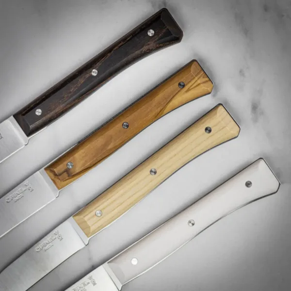 Set de 4 cuchillos para carne Facette Mix