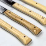 Set de 4 cuchillos para carne Facette