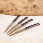 Set de 4 cuchillos de Fresno para carne Facette