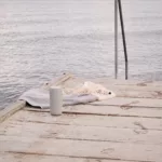 Vaso térmico To Go Click 400 ml - Imagen 3